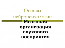 Основы нейропсихологии