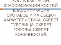 Костная система. Кость как орган. Классификация костей. Классификация суставов