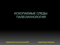 ИСКОПАЕМЫЕ СЛЕДЫ. ПАЛЕОИХНОЛОГИЯ
Кафедра биологической эволюции МГУ Андрей