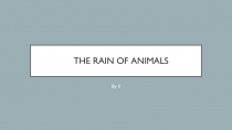 The rain of animals
