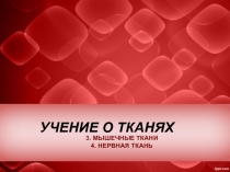 УЧЕНИЕ О ТКАНЯХ