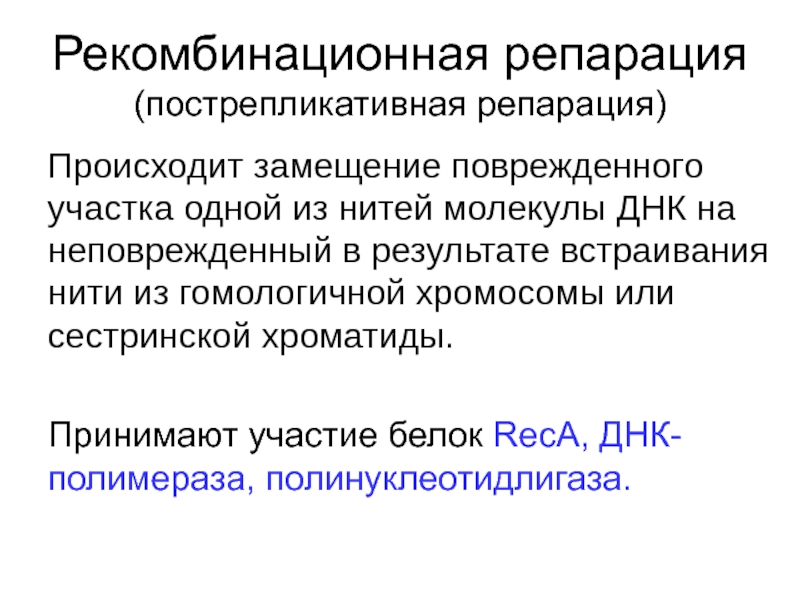 Что такое репарация. Пострепликативная (рекомбинантная) репарация. Рекомбинационная репарация. Рекомбигативная оепарация. Рекобинативная репаоация.