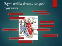 Жүре пайда болған жүрек ақаулары