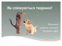 Як спілкуються тварини?