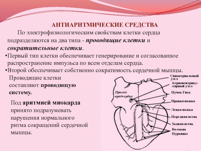 Противоаритмические средства презентация