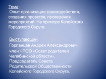 Тема : Опыт организации взаимодействия, создания проектов, проведения