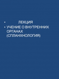 ЛЕКЦИЯ
УЧЕНИЕ О ВНУТРЕННИХ ОРГАНАХ (СПЛАНХНОЛОГИЯ)