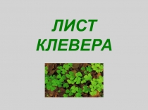 ЛИСТ КЛЕВЕРА