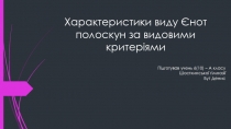 Характеристики виду Єнот полоскун за видовими критеріями