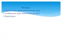 Жоспары:
1.Торлы түзіліс,адам организміндегі рөлі
2.Лимбикалық жүйе