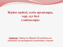 Жүйке жүйесі, сезім органдары, тері, сүт безі слайдылары Дәріскер: Айтқұлов