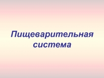 Пищеварительная система