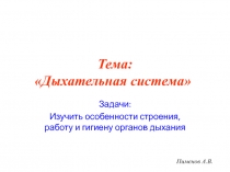 Тема: Дыхательная система