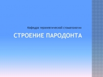 Строение пародонта