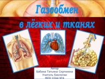 Автор
Бабина Татьяна Сергеевна
Учитель биологии
МОУ СОШ №4