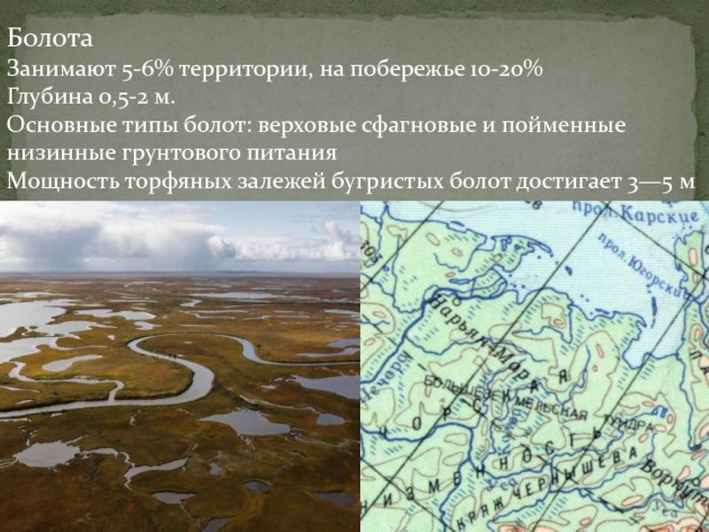 Кроссворд болото 5 класс. Типы болот. Виды болот. Низинная тундра в Архангельской области.