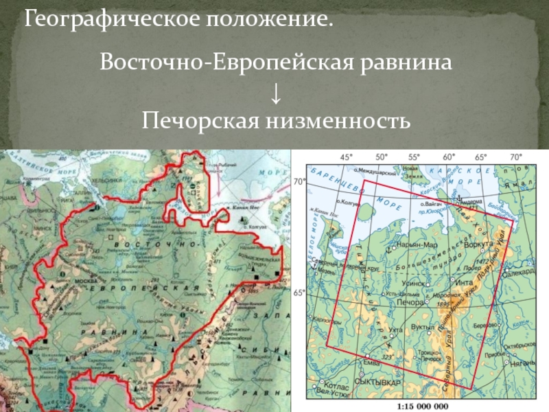 Географическое положение восточной. Печерская низменности на карте России. Печорская низменность на контурной карте России. Равнины Печорская низменность на карте. Печорская низменность на карте России.