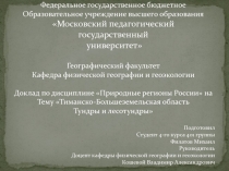 Федеральное государственное бюджетное
Образовательное учреждение высшего