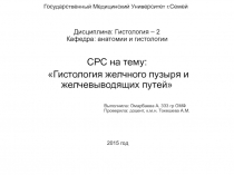 Государственный Медицинский Университет г.Семей