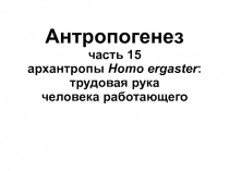 Антропогенез часть 15 архантропы Homo ergaster : трудовая рука человека