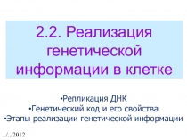 2.2. Реализация генетической информации в клетке