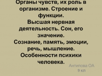 Анализаторы. Органы чувств, их роль в организме. Строение и функции. Высшая