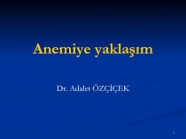 Anemiye yaklaşım