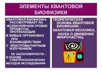 ЭЛЕМЕНТЫ КВАНТОВОЙ БИОФИЗИКИ