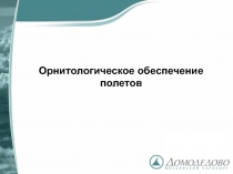 Орнитологическое обеспечение полетов