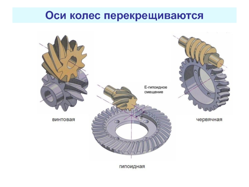 Ведомое колесо. Гипоидная передача смещение. Гипоидная червячная передача. Гипоидное зацепление схема. Зубчатые передачи с перекрещивающимися осями.