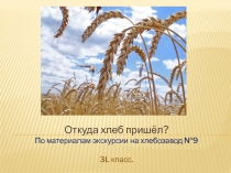 Откуда хлеб пришёл? По материалам экскурсии на хлебозавод №9 3 L класс