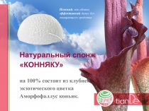 Натуральный спонж КОННЯКУ