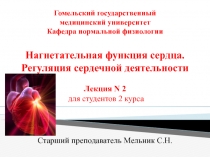 Гомельский государственный медицинский университет Кафедра нормальной