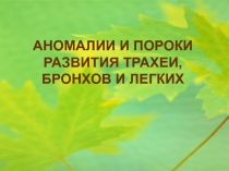 АНОМАЛИИ И ПОРОКИ РАЗВИТИЯ ТРАХЕИ, БРОНХОВ И ЛЕГКИХ