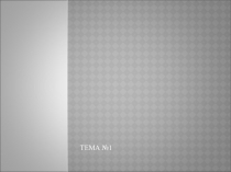 ТЕМА №1