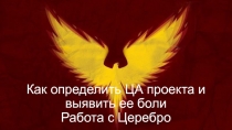 Как определить ЦА проекта и выявить ее боли Работа с Церебро