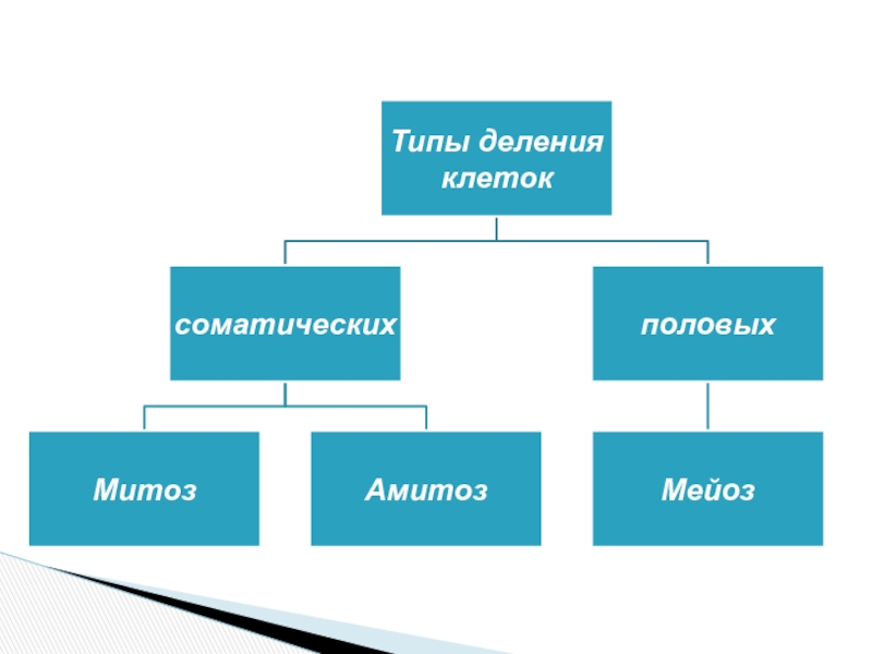 Восточно-Казахстанский технологический колледж
СРС
Подготовил : Муратов Е