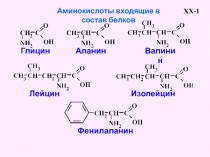 Аминокислоты входящие в состав