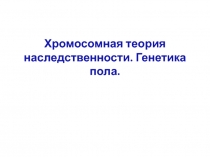 Хромосомная теория наследственности. Генетика пола