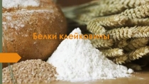 Белки клейковины