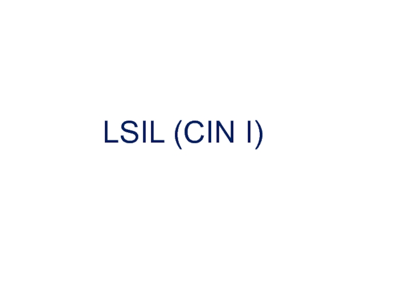 Lsil cin 1