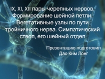 IX, XI, XII пары черепных нервов. Формирование шейной петли. Вегетативные узлы