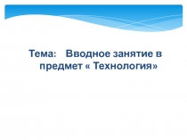 Тема : Вводное занятие в предмет  Технология