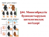 §44. Моногибридтік будандастырудың цитологиялық негіздері