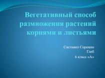 Вегетативный способ размножения растений корнями и листьями