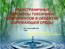 ТРАНСГРАНИЧНЫЕ ПЕРЕНОСЫ ТОКСИЧНЫХ КОМПОНЕНТОВ В ОБЪЕКТАХ ОКРУЖАЮЩЕЙ СРЕДЫ