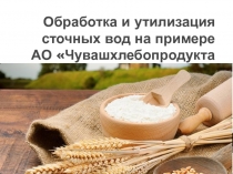 Обработка и утилизация сточных вод на примере АО  Чувашхлебопродукта