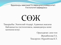 СӨЖ
Тақырыбы: Эпителий тіндері. Адамның жасына байланысты гистологиясы,