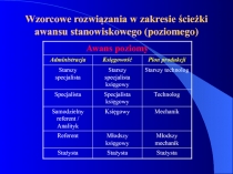 Wzorcowe rozwiązania w zakresie ścieżki awansu stanowiskowego (poziomego)