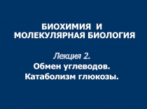 БИОХИМИЯ И МОЛЕКУЛЯРНАЯ БИОЛОГИЯ
Лекция 2.
Обмен углеводов.
Катаболизм глюкозы